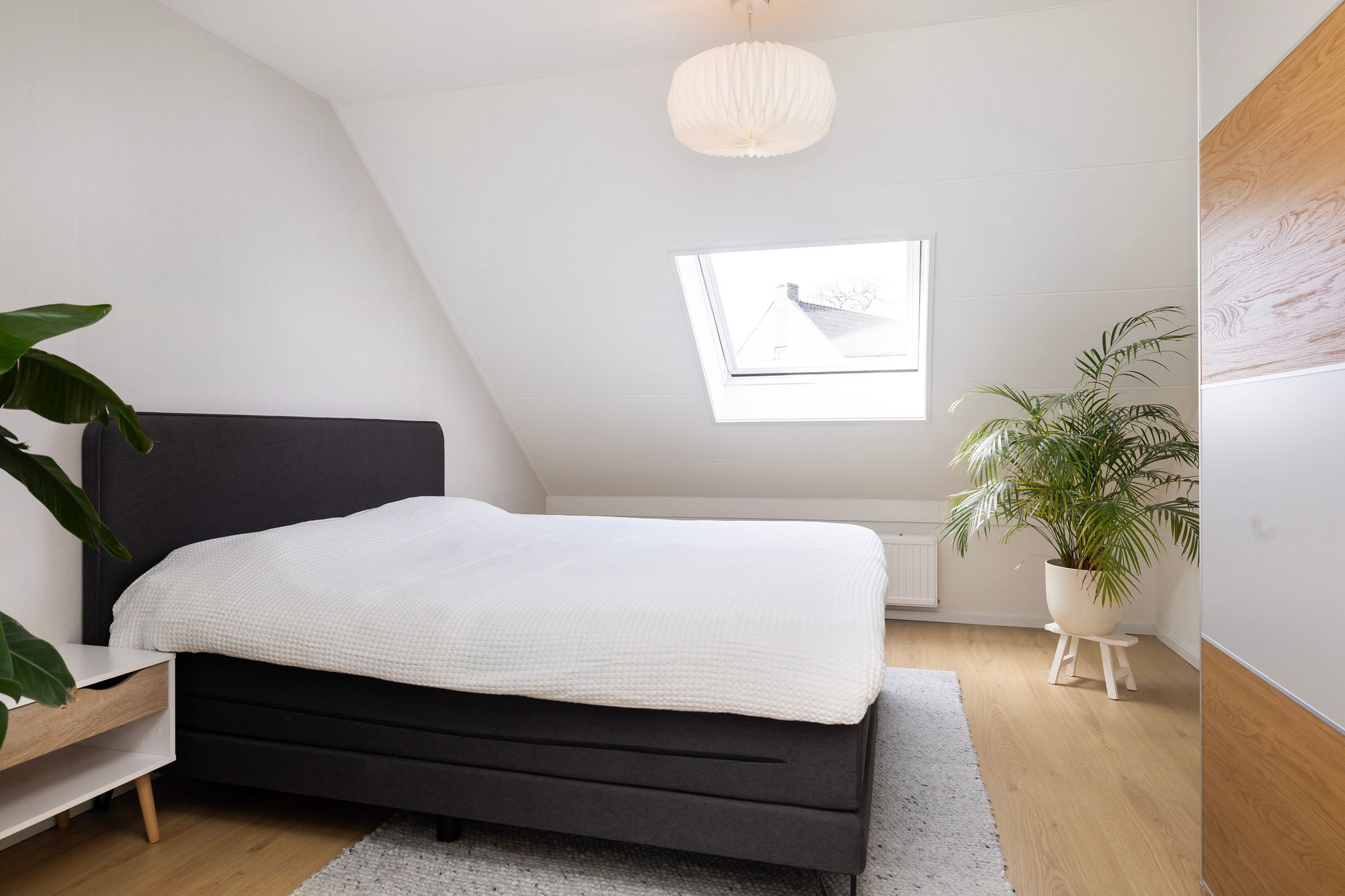 Foto 15 van Leliestraat 13-B