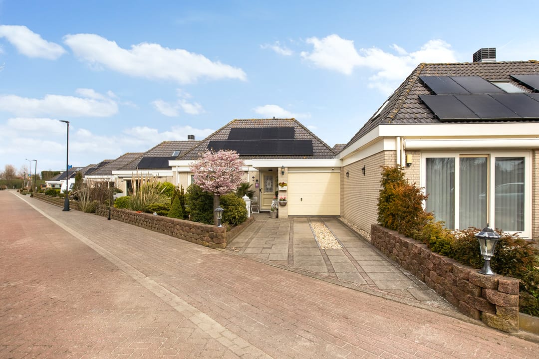 Foto 7 van Monniksrob 12