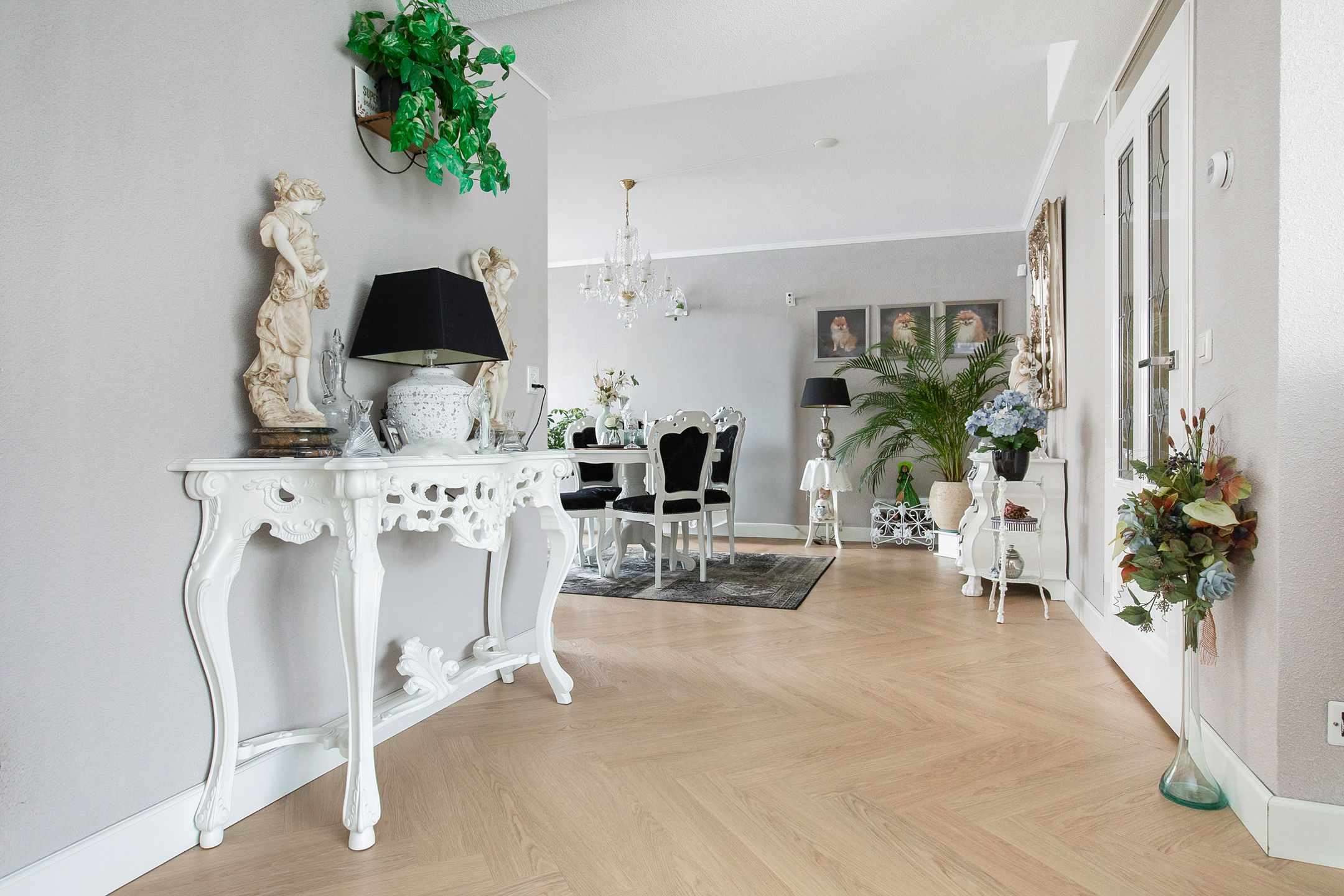 Foto 12 van Monniksrob 12