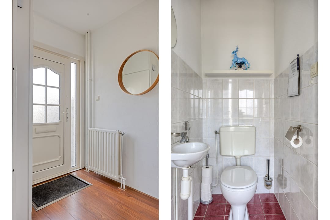 Foto 8 van Kanariesprenk 203