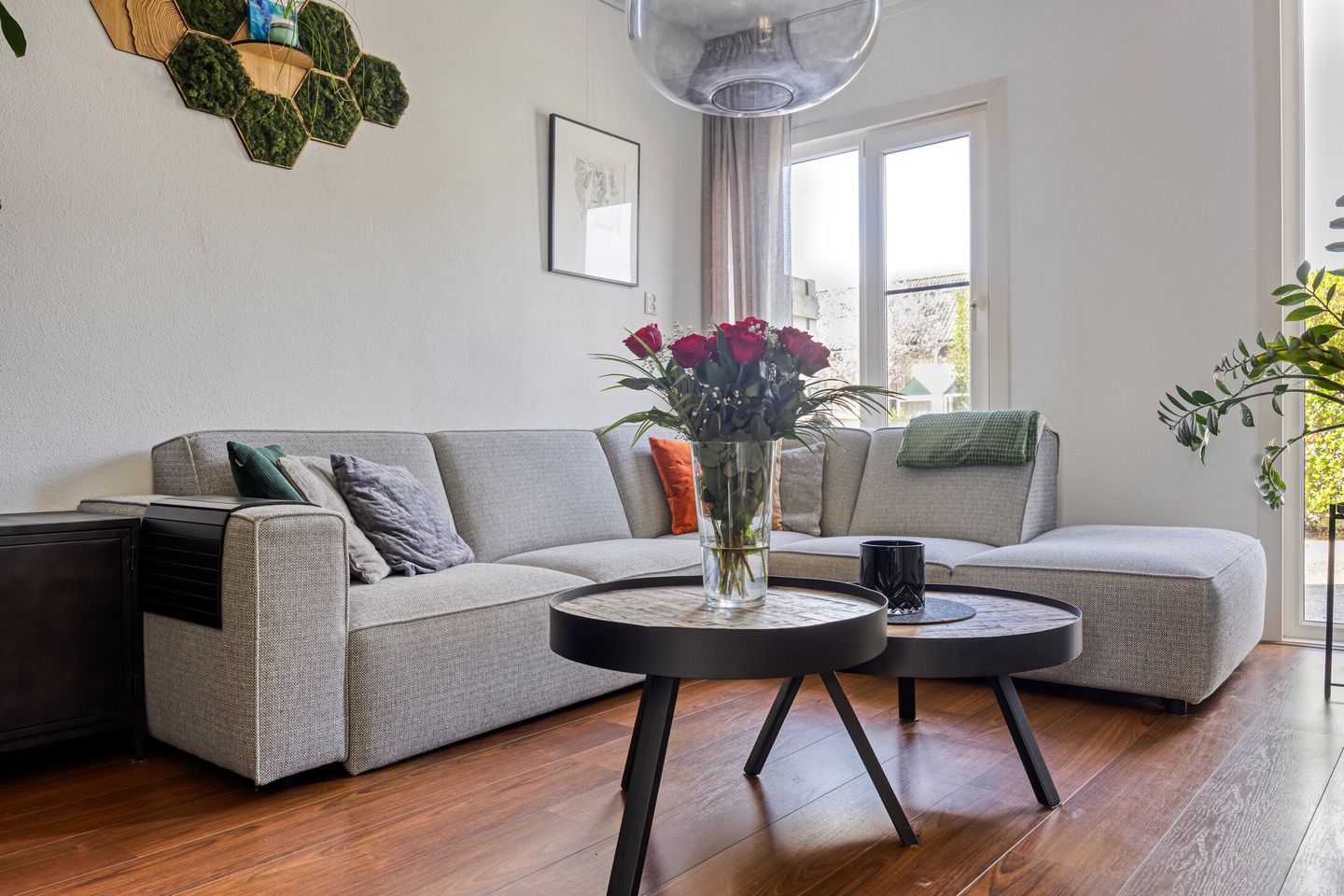 Foto 4 van Kanariesprenk 203