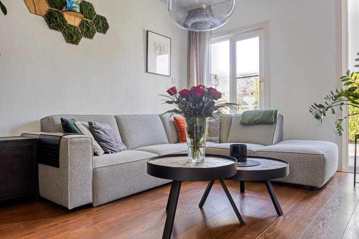 Photo 4 of Kanariesprenk 203