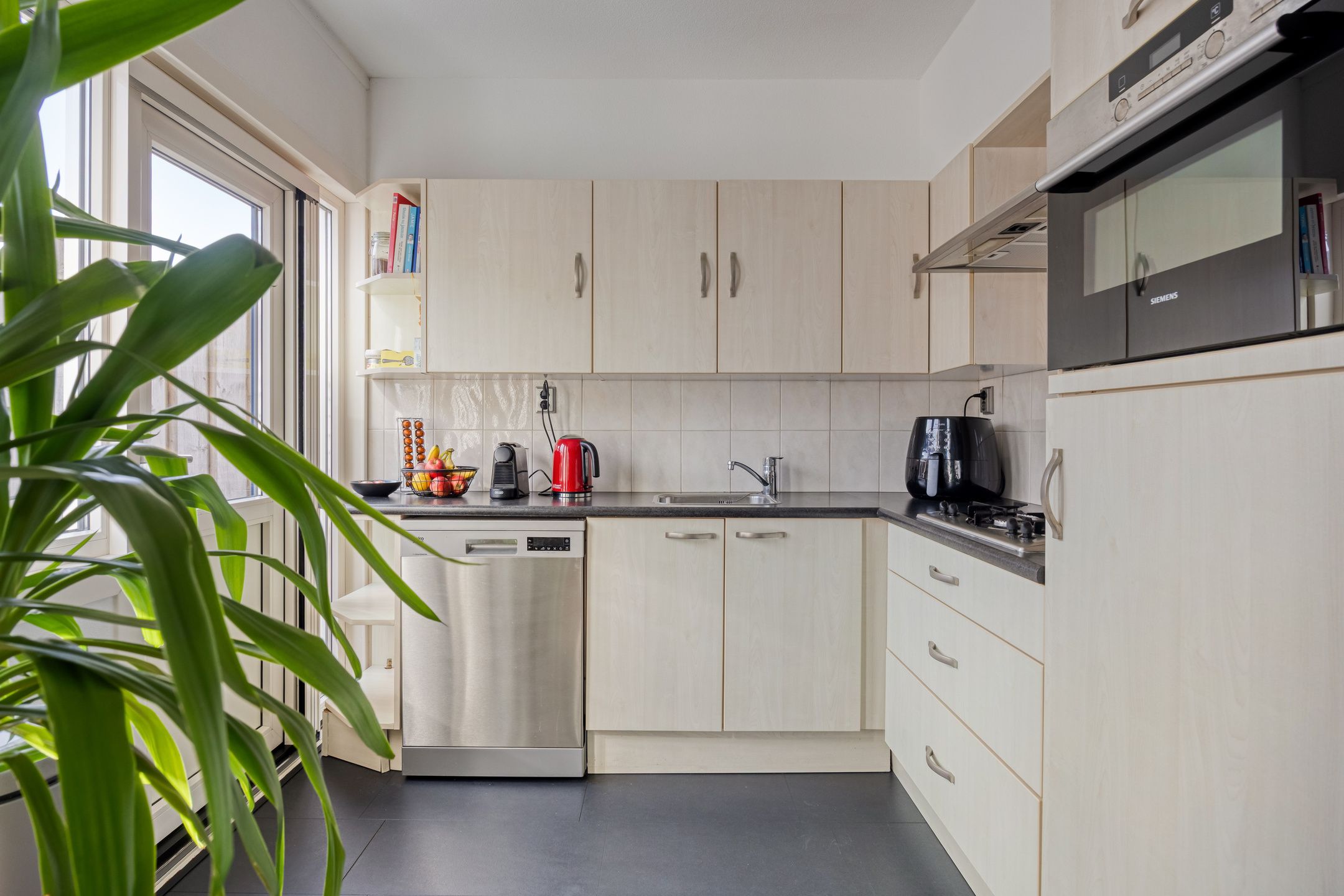 Foto 6 van Kanariesprenk 203