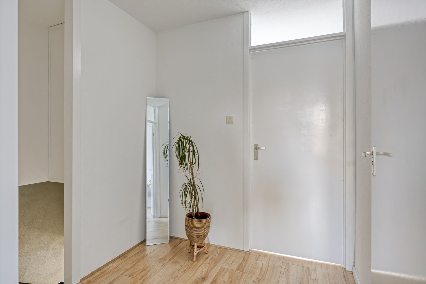 Foto 10 van Kanariesprenk 203