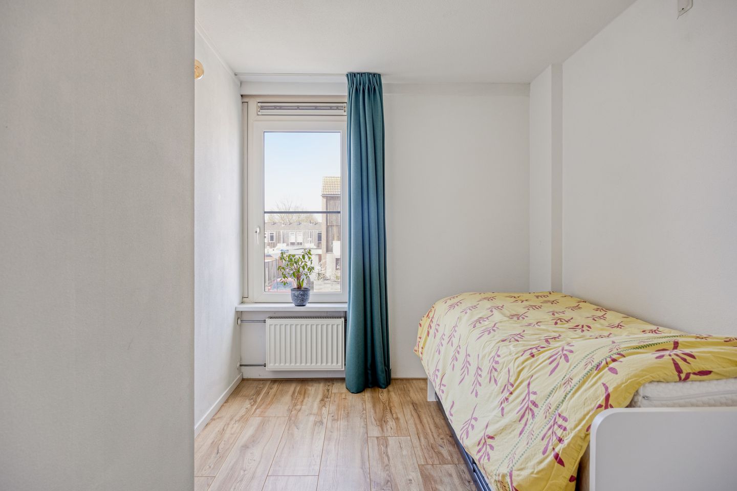 Foto 14 van Kanariesprenk 203