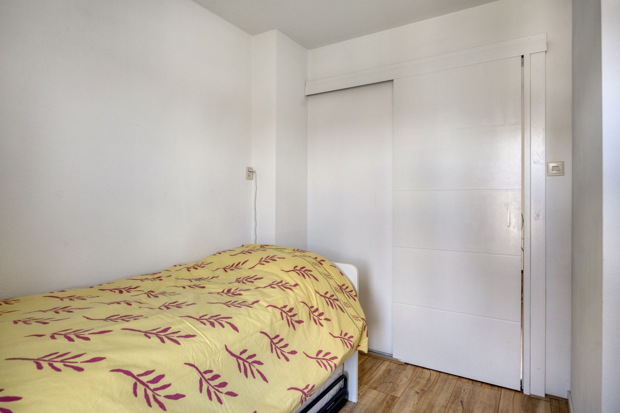 Foto 15 van Kanariesprenk 203