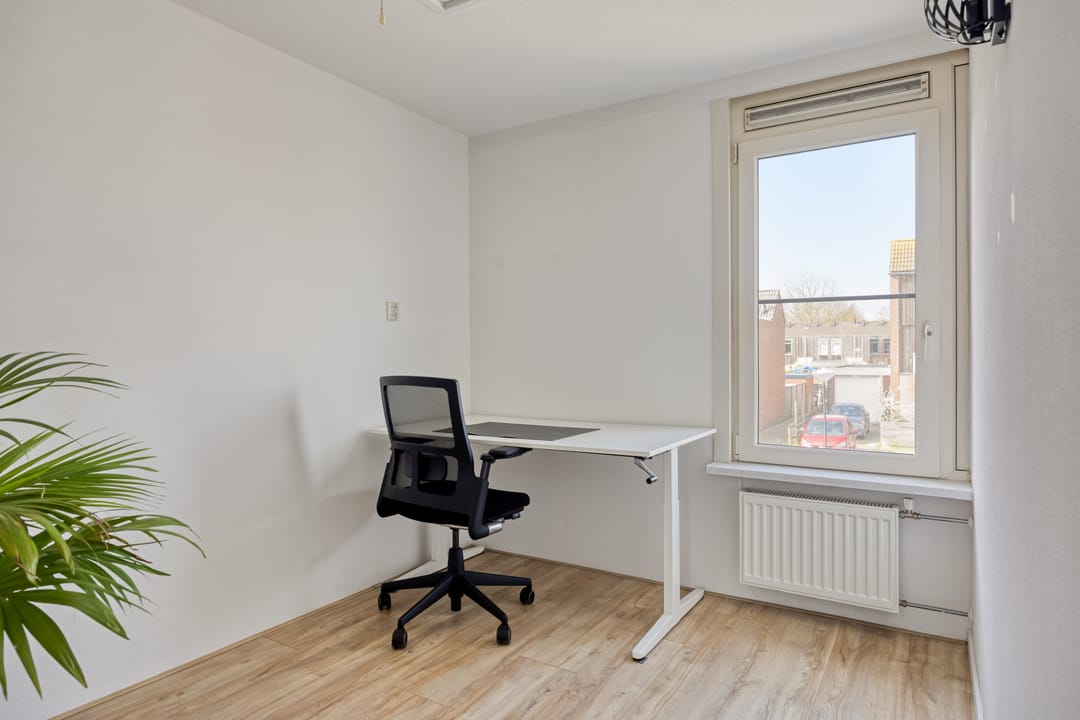 Foto 16 van Kanariesprenk 203