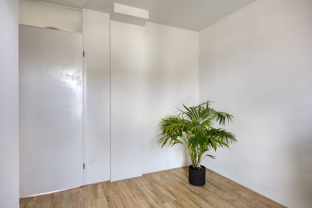 Foto 17 van Kanariesprenk 203