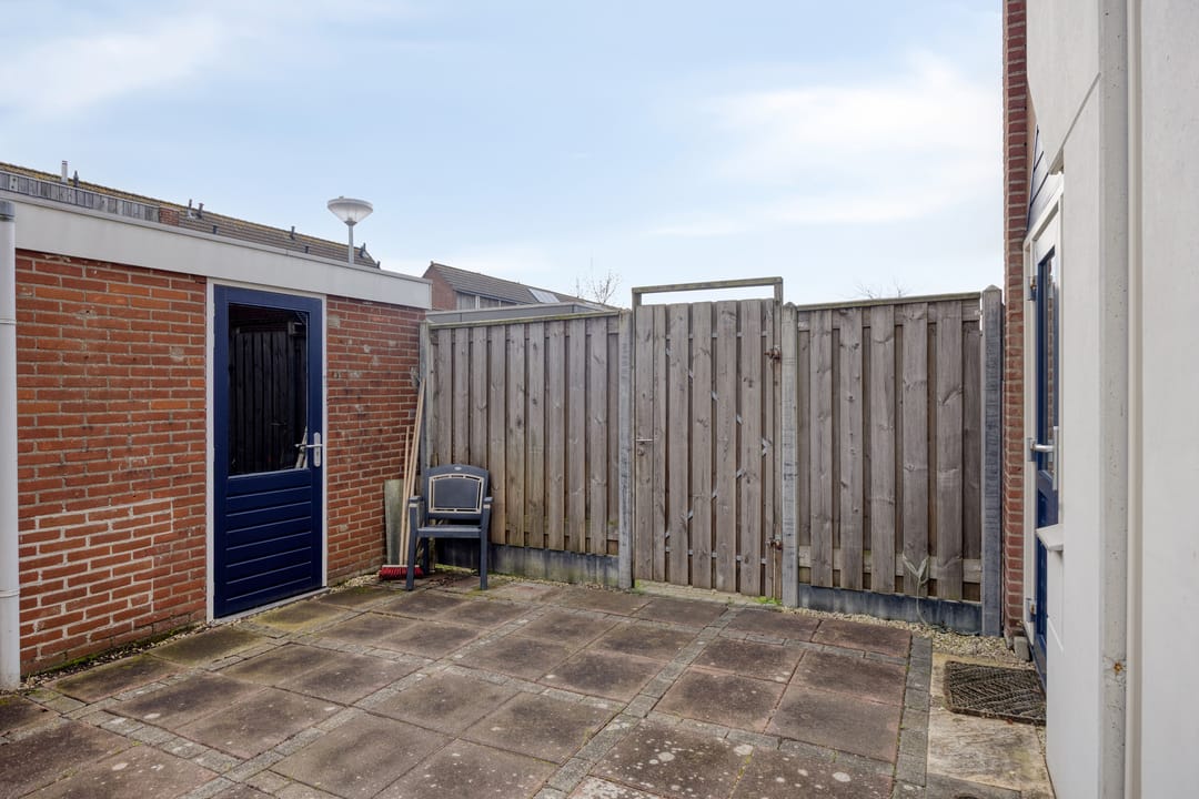 Foto 22 van Kanariesprenk 203