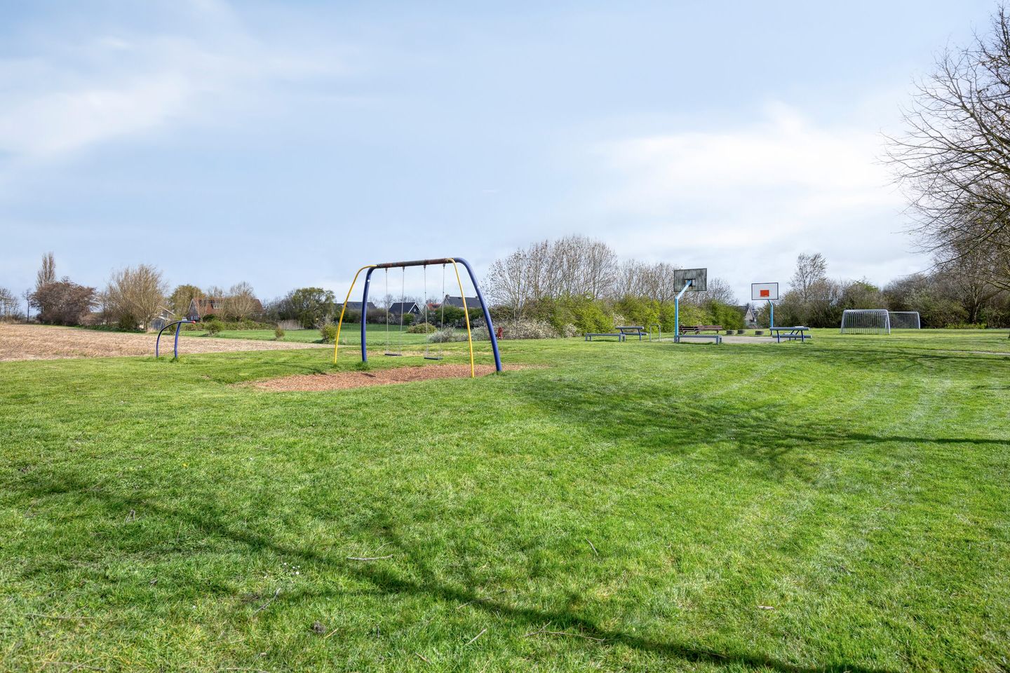 Foto 25 van Kanariesprenk 203