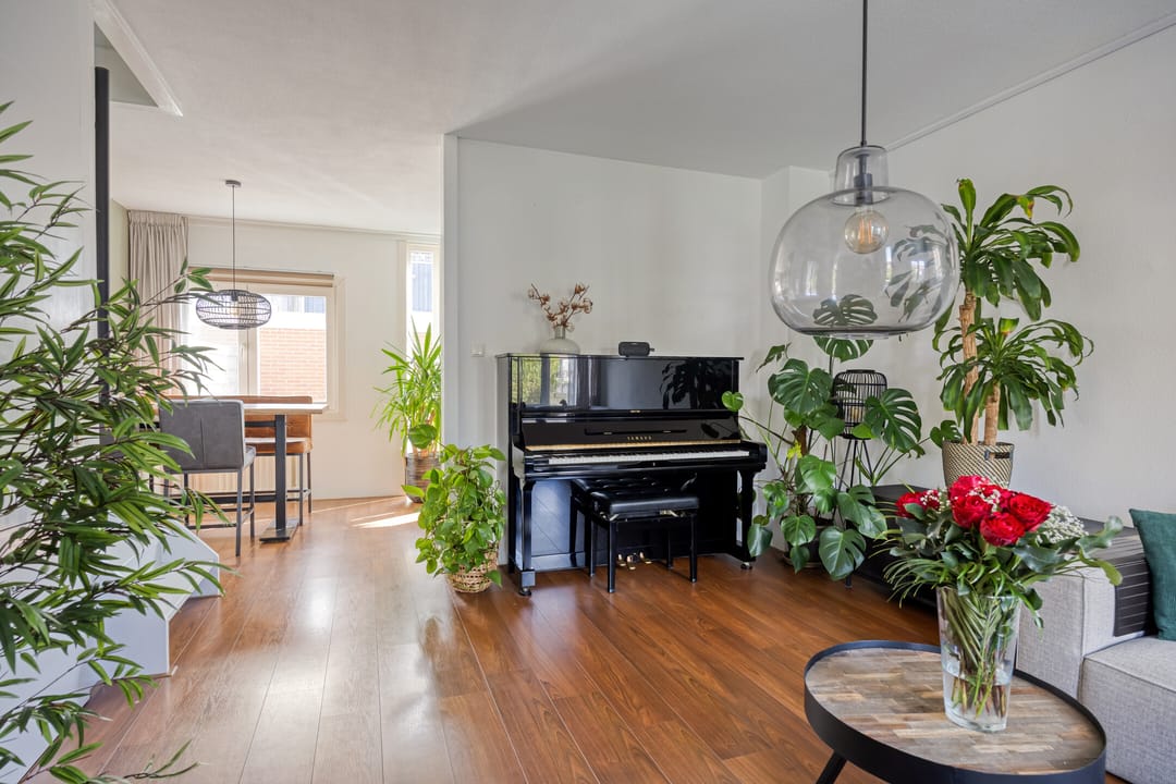 Foto 2 van Kanariesprenk 203