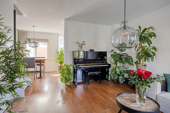 Photo 2 of Kanariesprenk 203