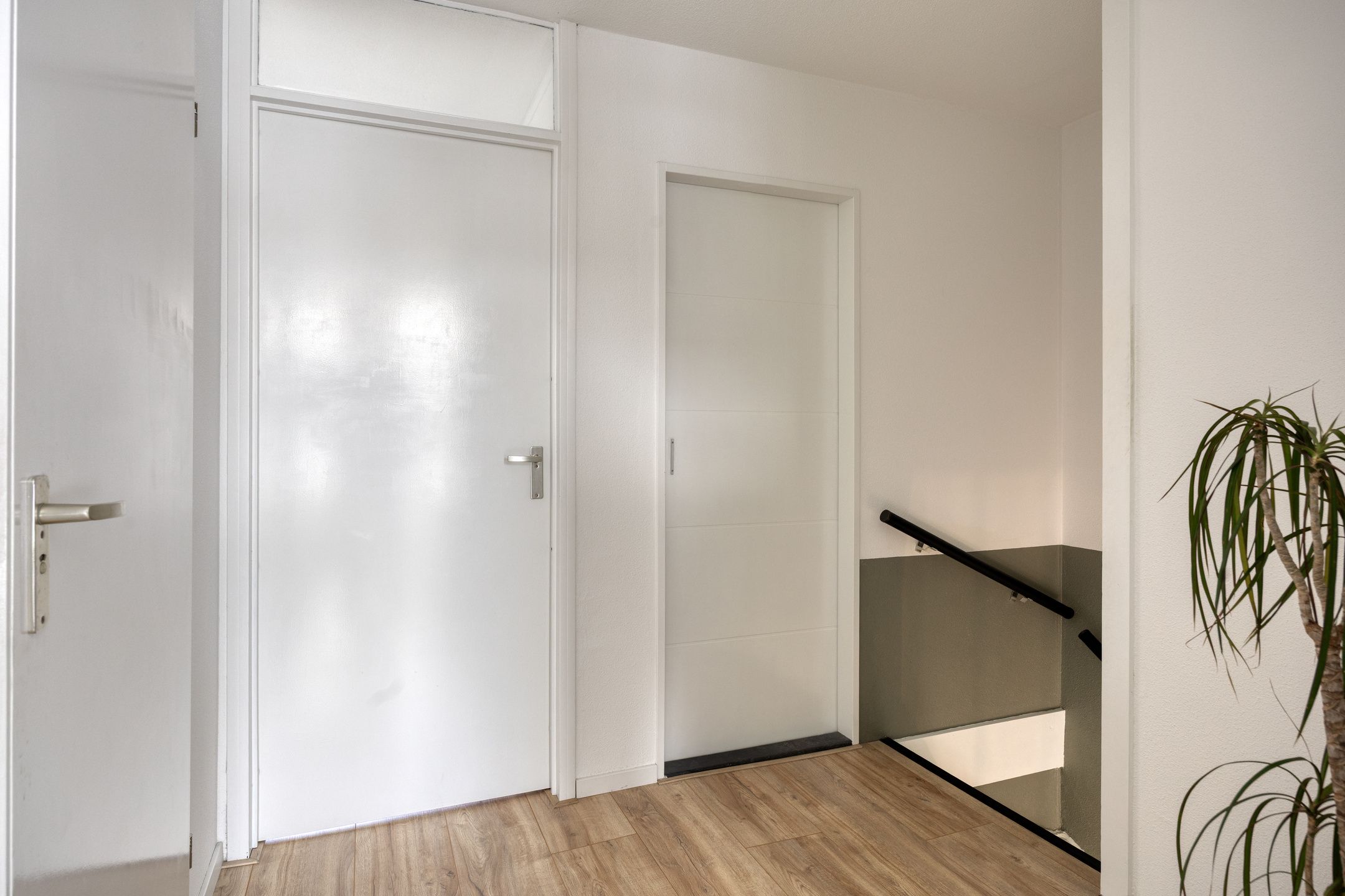 Foto 9 van Kanariesprenk 203