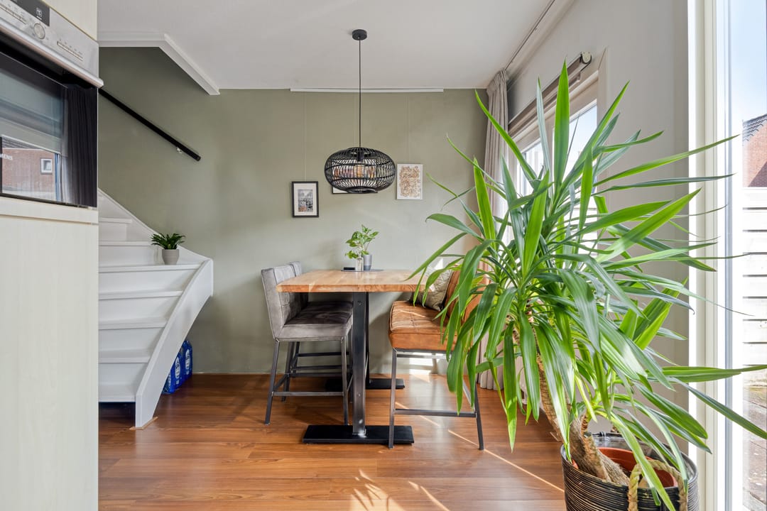 Foto 7 van Kanariesprenk 203