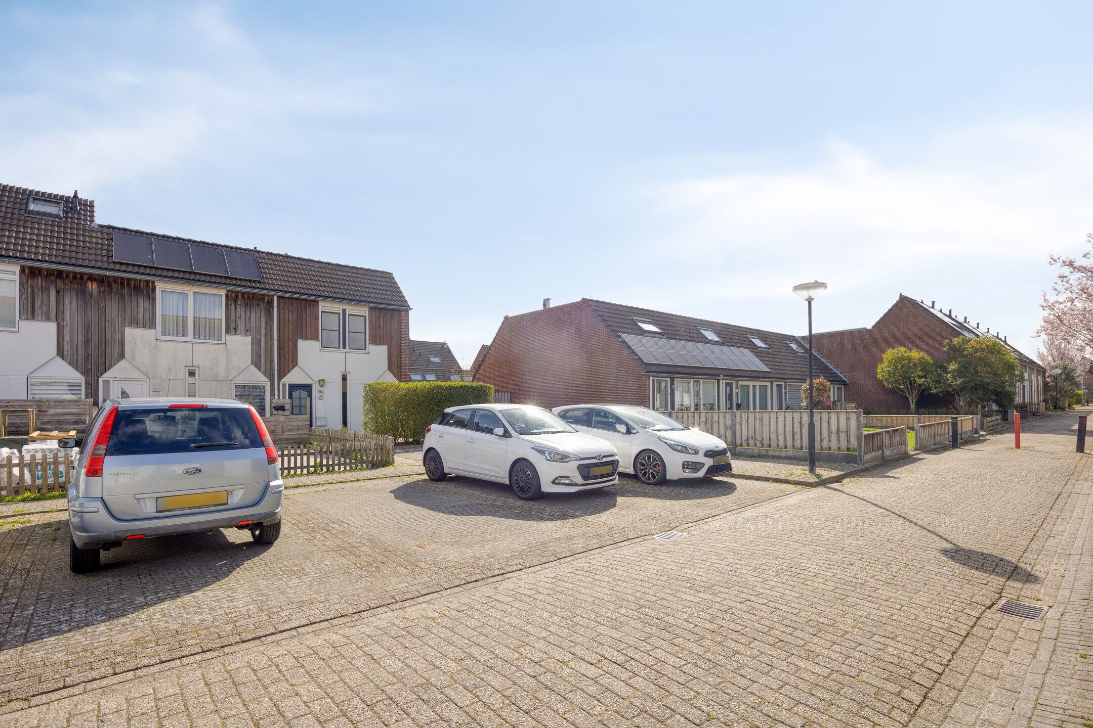 Foto 24 van Kanariesprenk 203