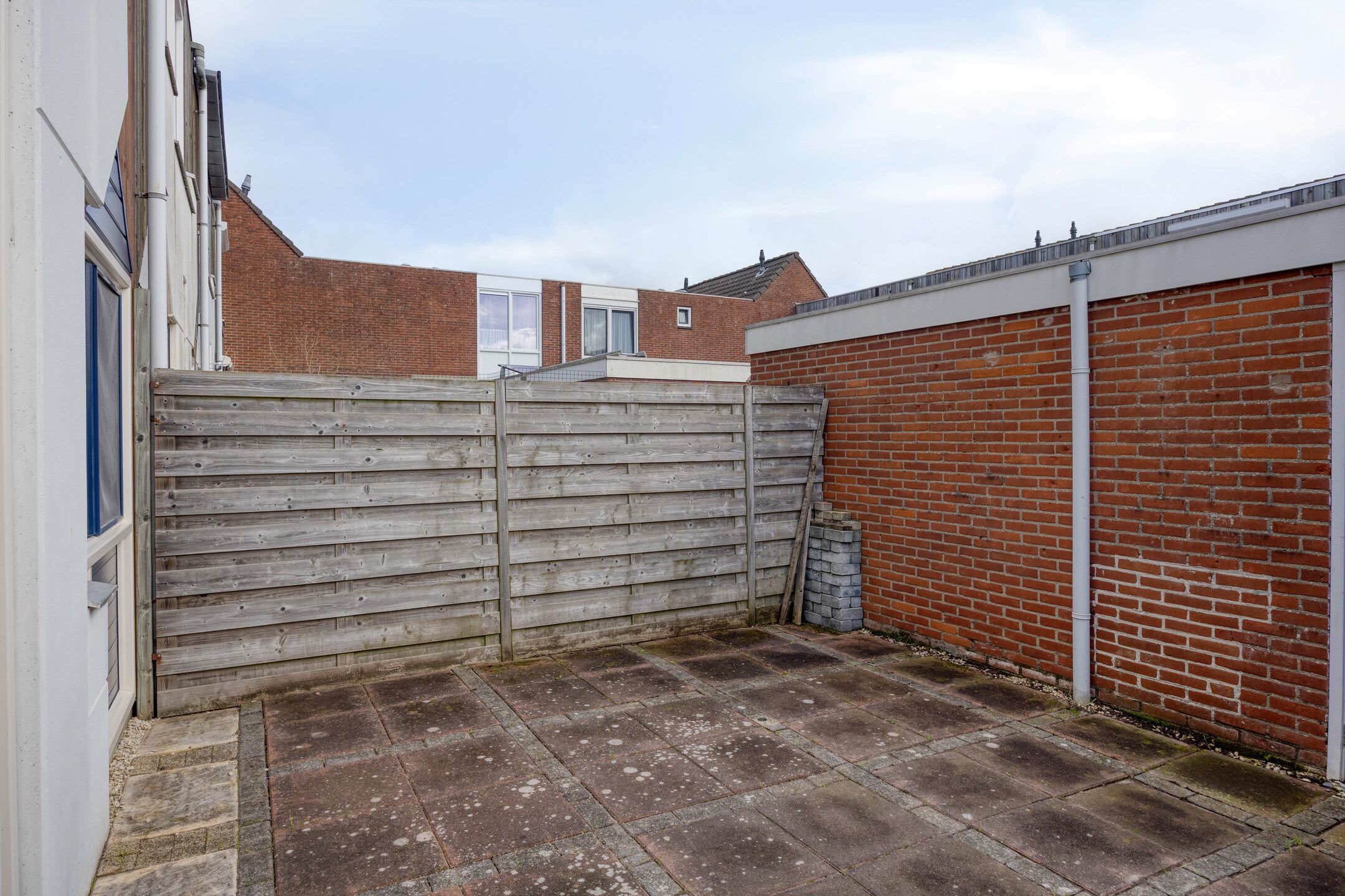 Foto 21 van Kanariesprenk 203