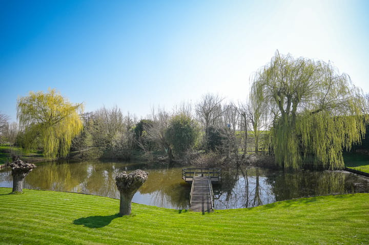 Foto 4 van Veluwe 11