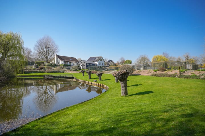 Veluwe 11 main image