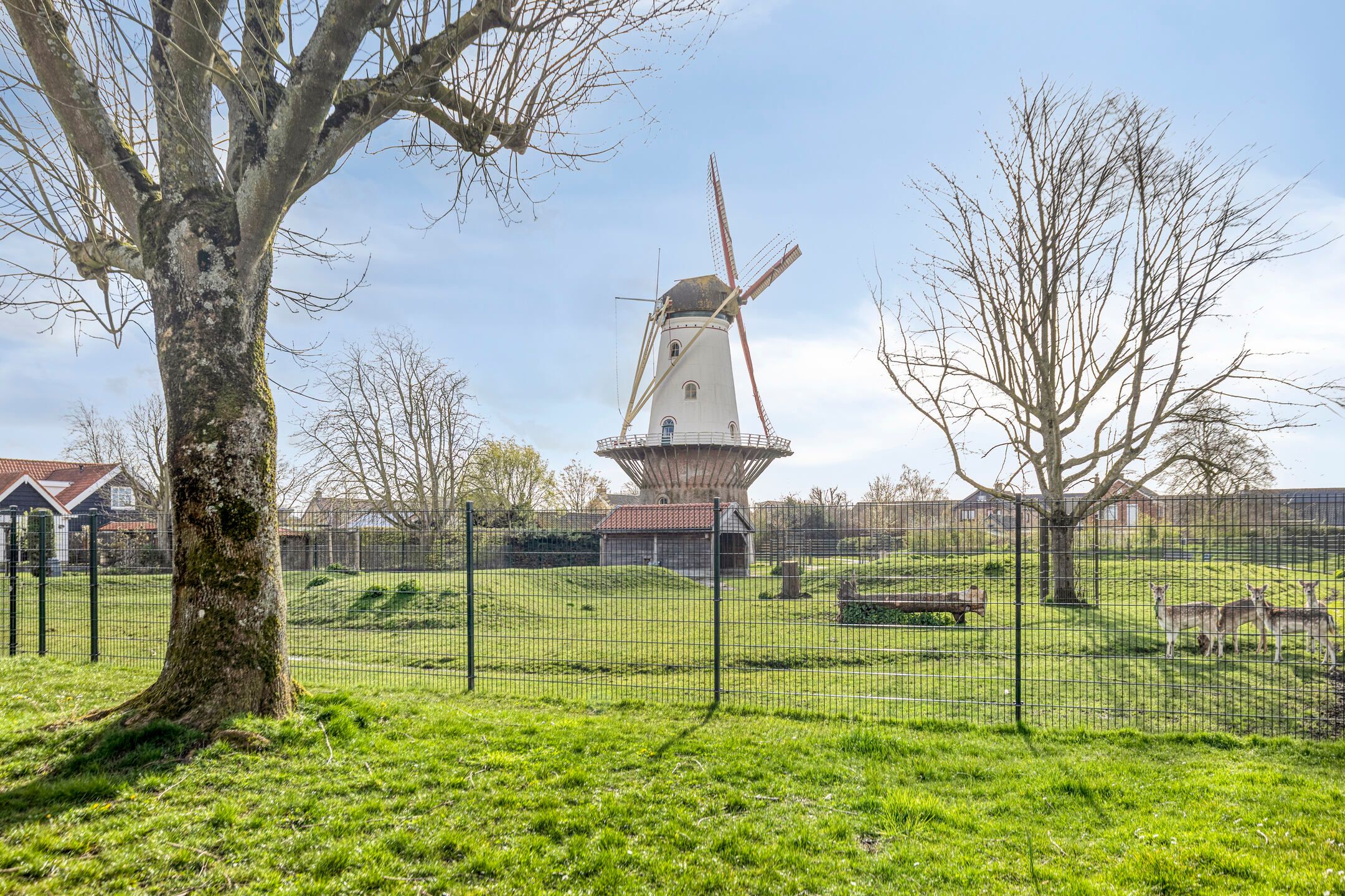 Foto 12 van Westelijke Kanaalweg 59