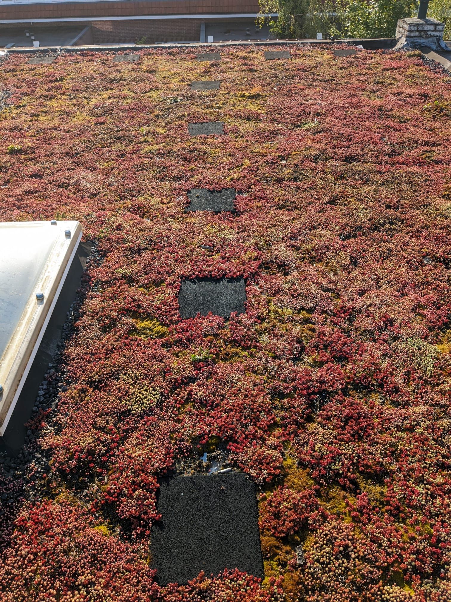 Foto 39 van Verenigingstraat 65