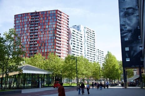 undefined main image