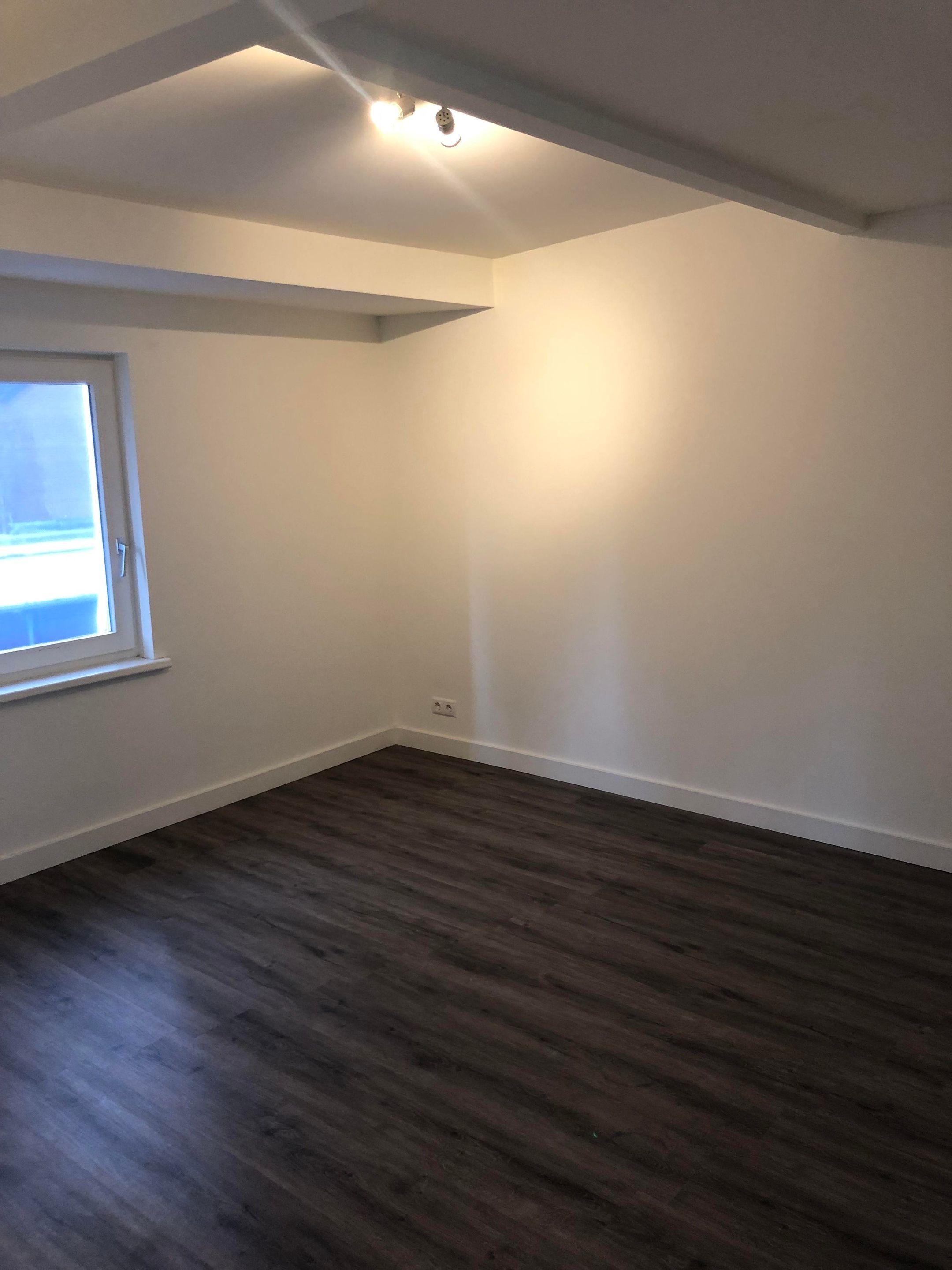 Foto 3 van Dommelseweg 49