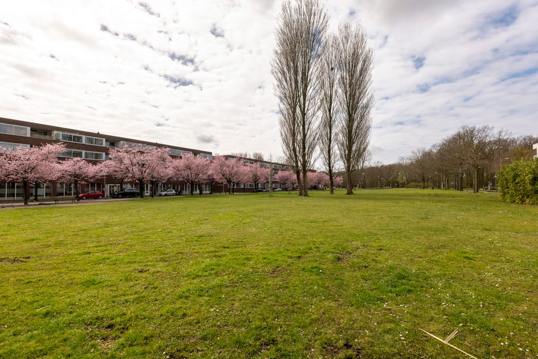 Foto 31 van Van Abbestraat 289