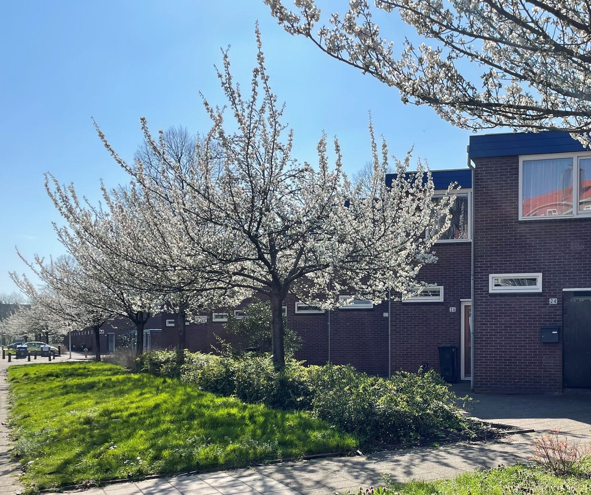 Theodorus Majofskistraat 38 