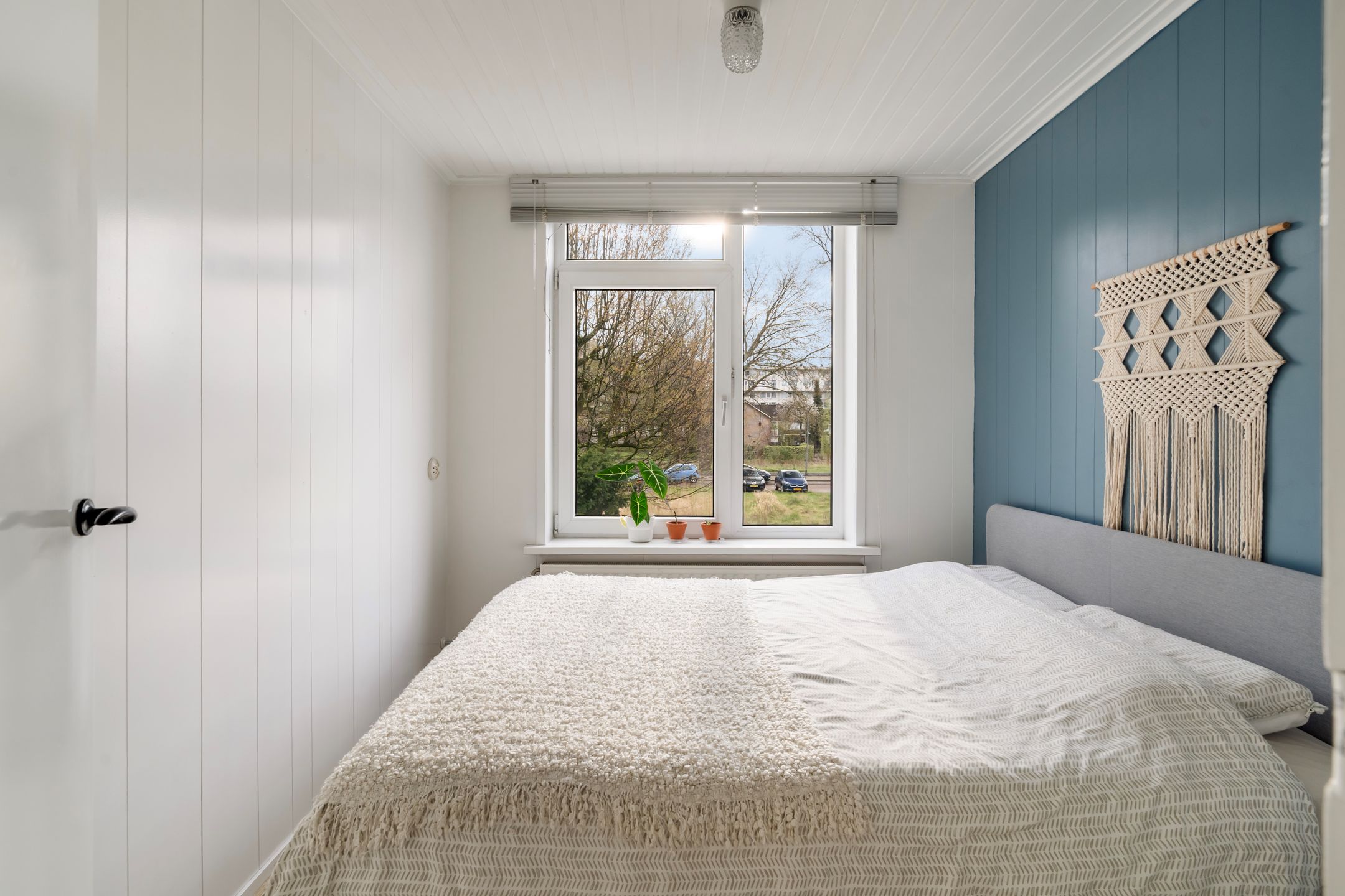 Photo 30 of Van Bosseplantsoen 7