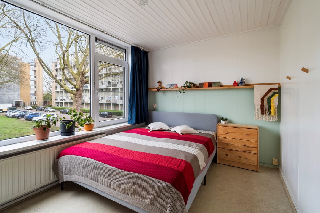 Photo 32 of Van Bosseplantsoen 7