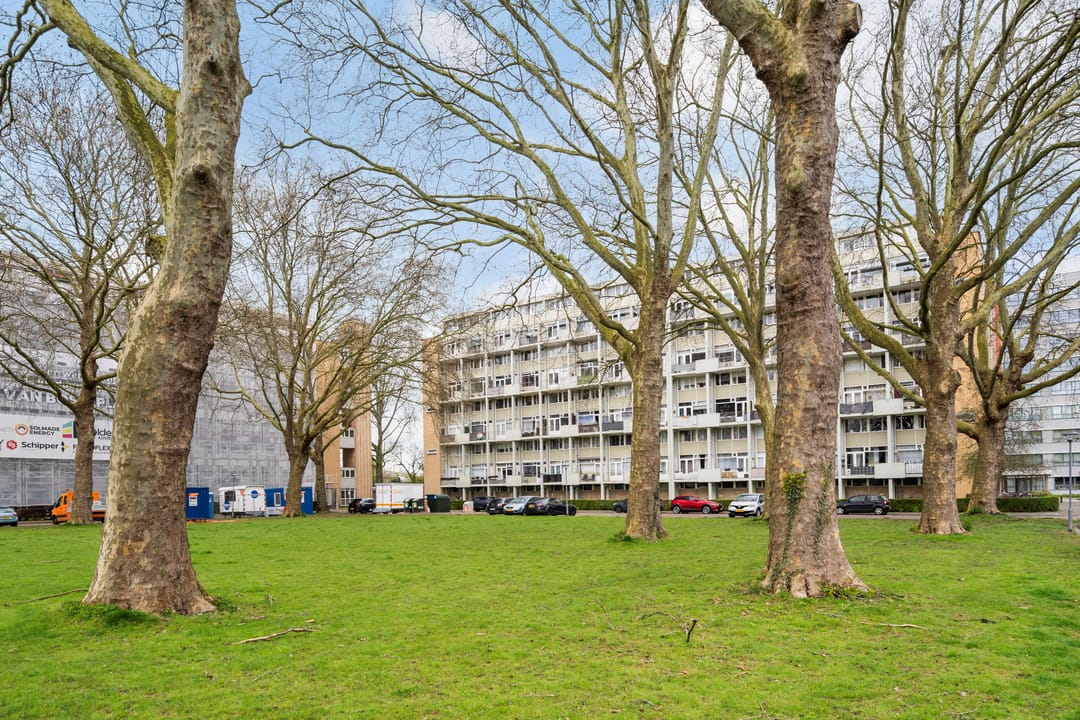 Photo 52 of Van Bosseplantsoen 7