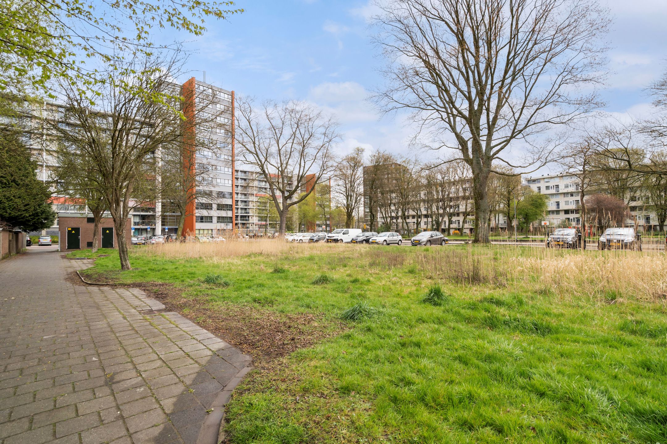 Photo 51 of Van Bosseplantsoen 7