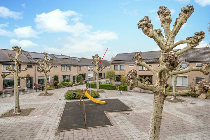 Foto 2 van Bosveld 409