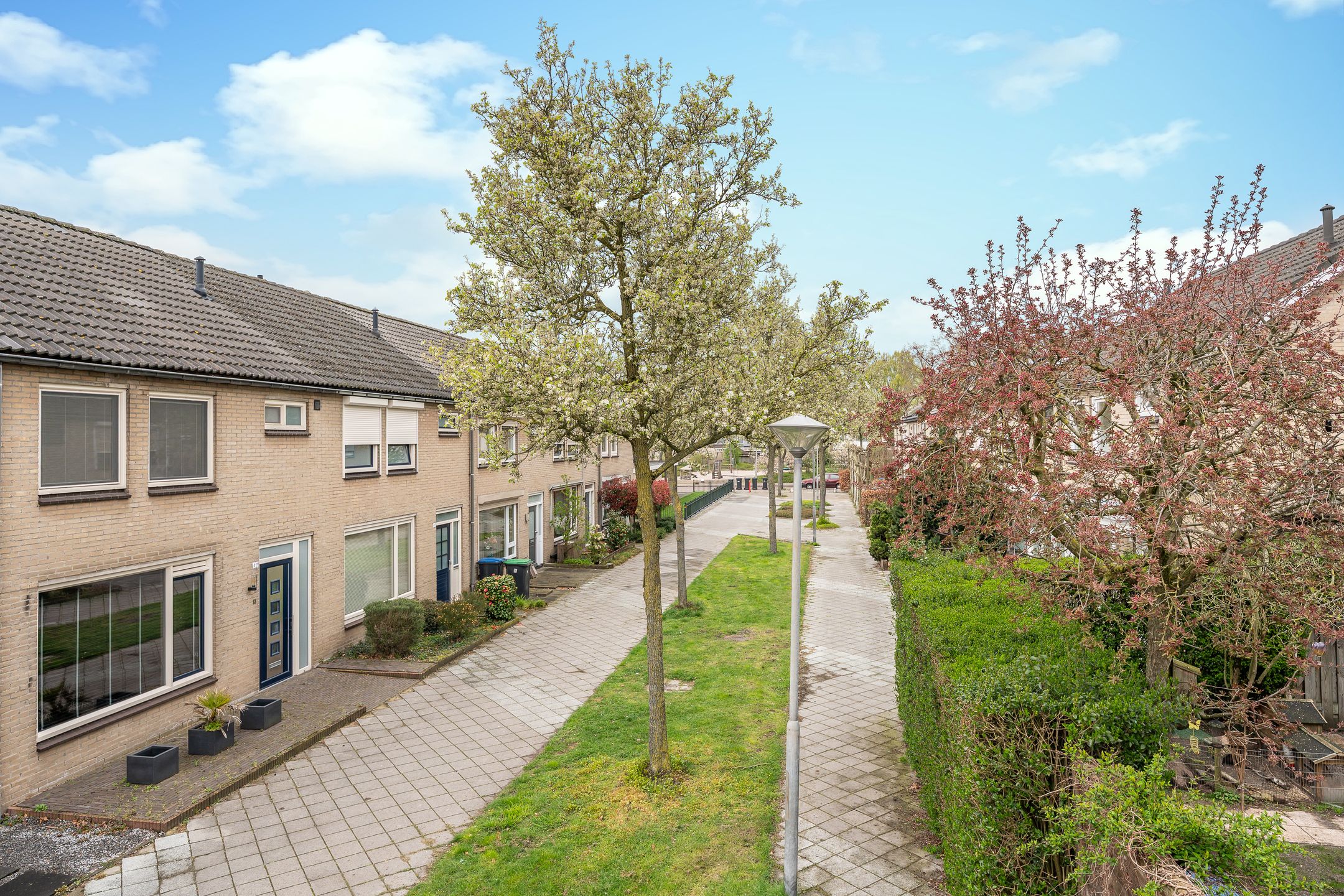 Foto 6 van Bosveld 409