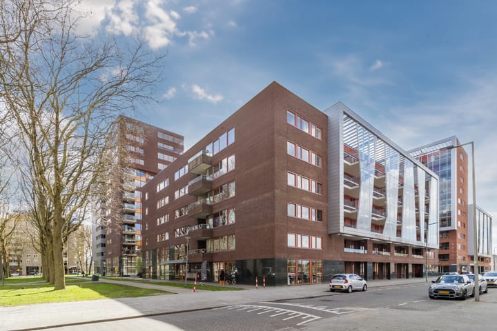 Koningslaan 231