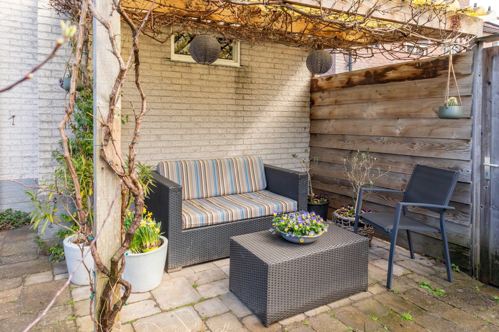 Photo 51 of Leuvenstein 51