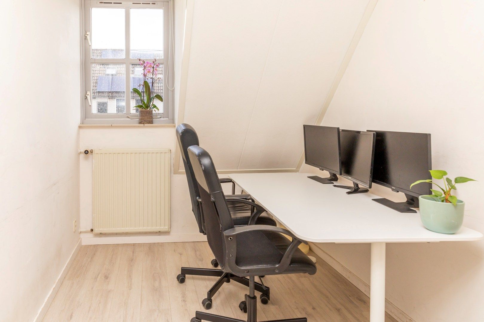 Photo 33 of Leuvenstein 51