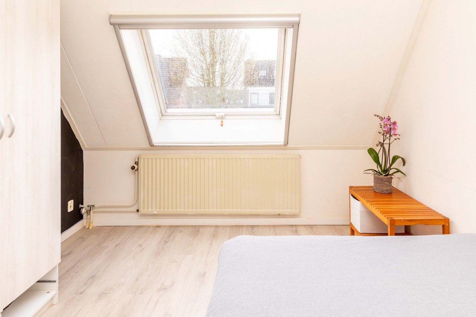 Photo 36 of Leuvenstein 51