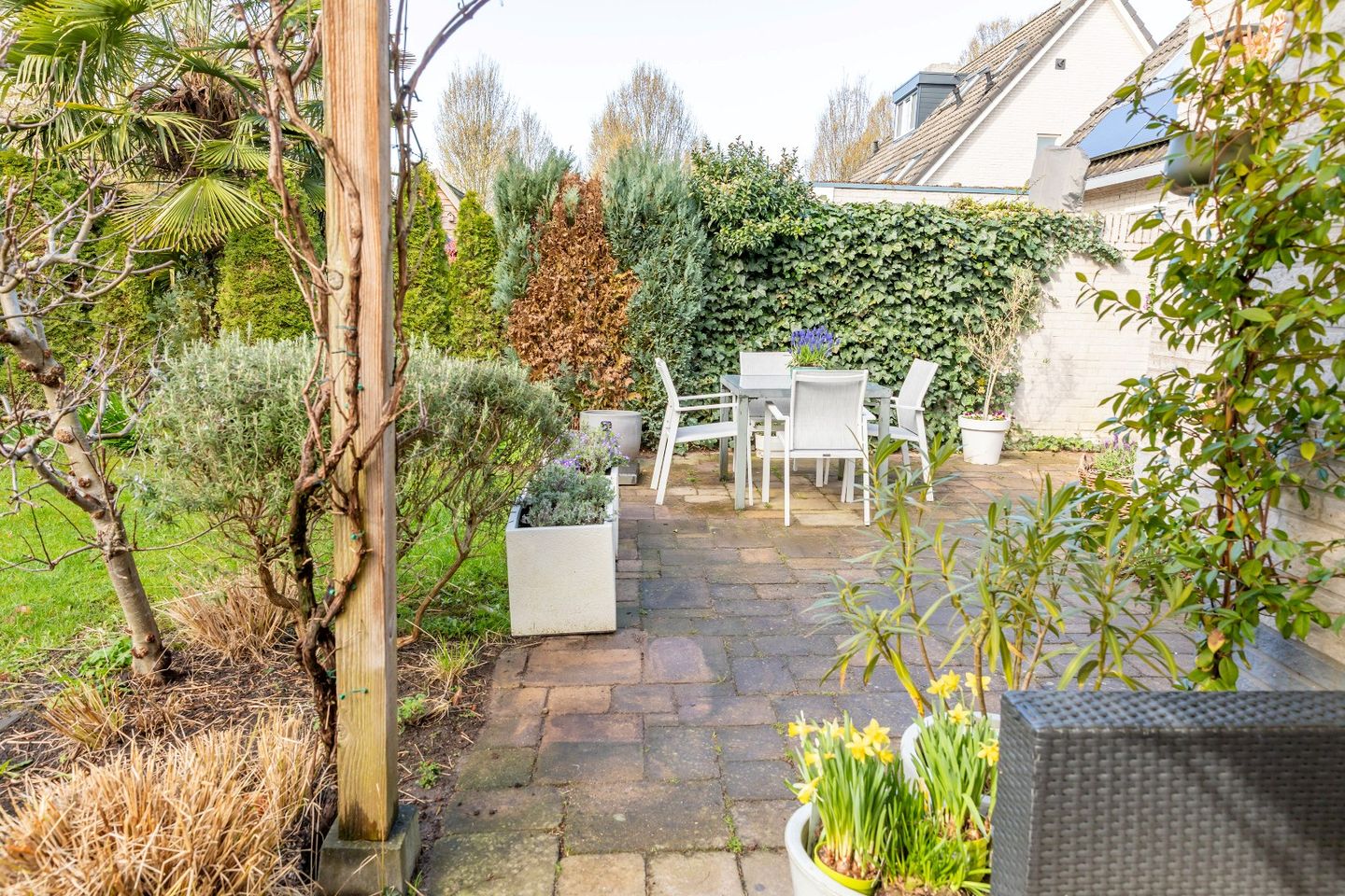 Photo 49 of Leuvenstein 51