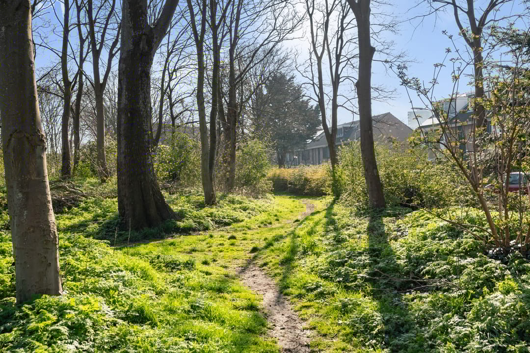 Photo 32 of J. Boezerstraat 80