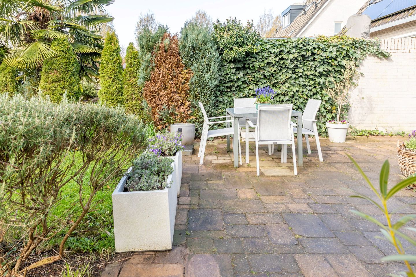 Photo 94 of Leuvenstein 51