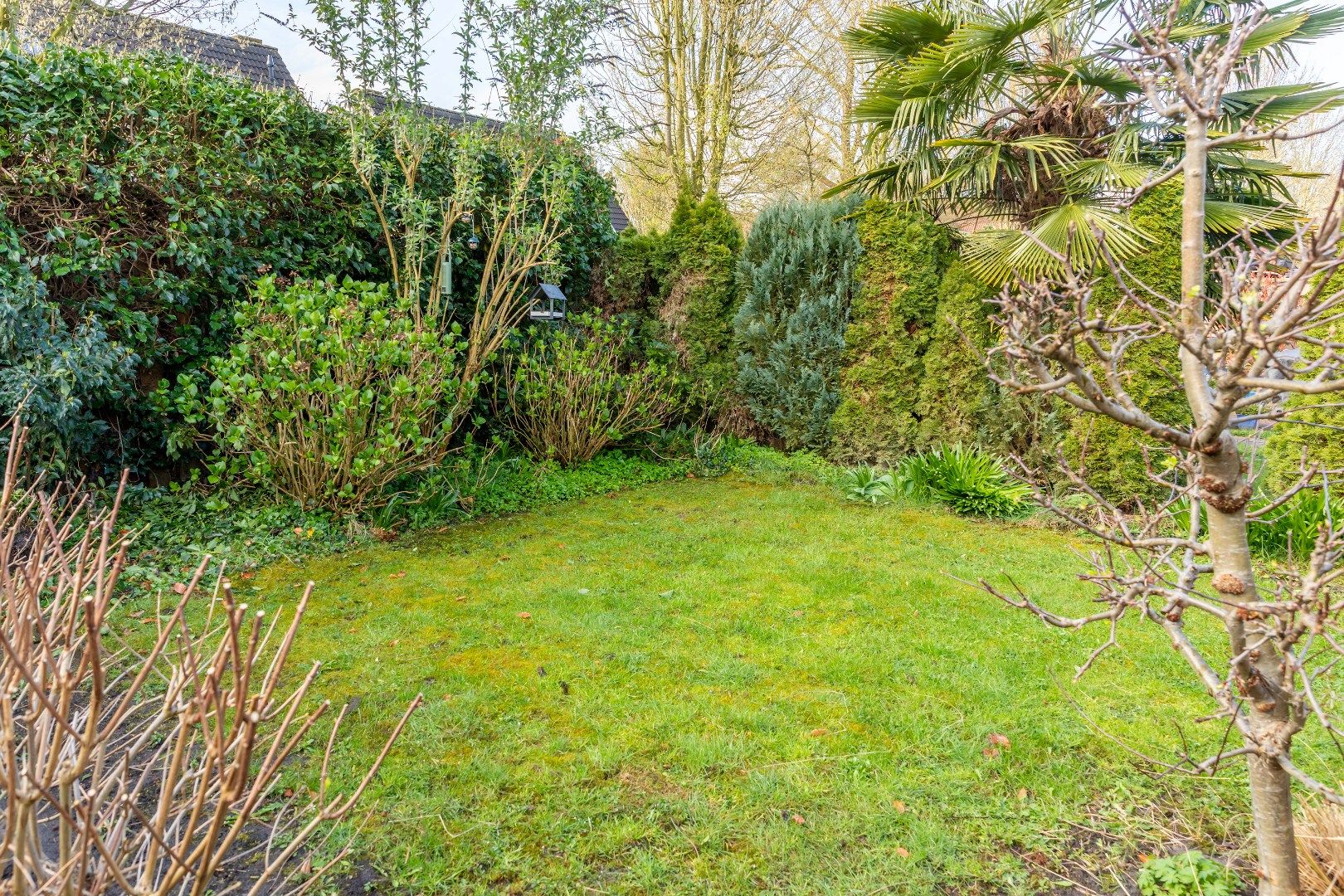 Photo 96 of Leuvenstein 51