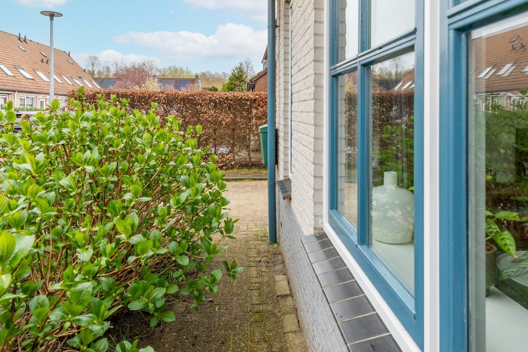 Photo 62 of Leuvenstein 51