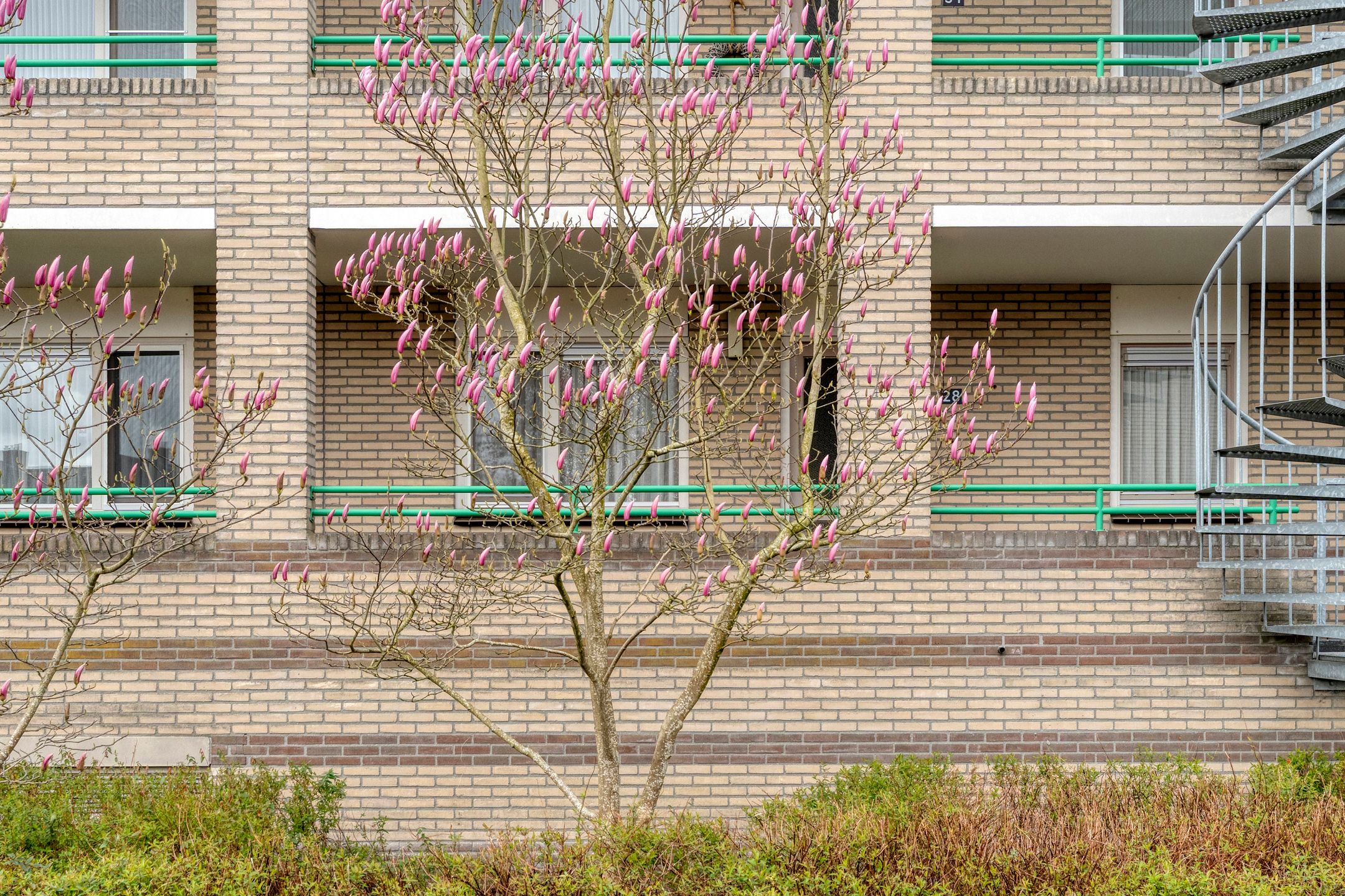 Foto 3 van Thomas Ainsworthstraat 28