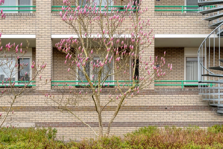 Foto 3 van Thomas Ainsworthstraat 28