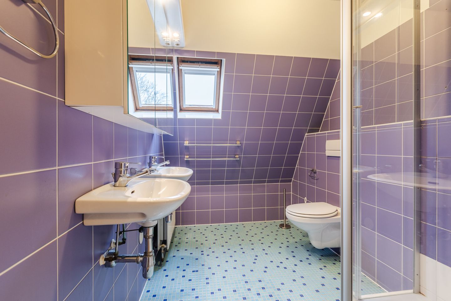 Foto 20 van Meerkoetweide 37