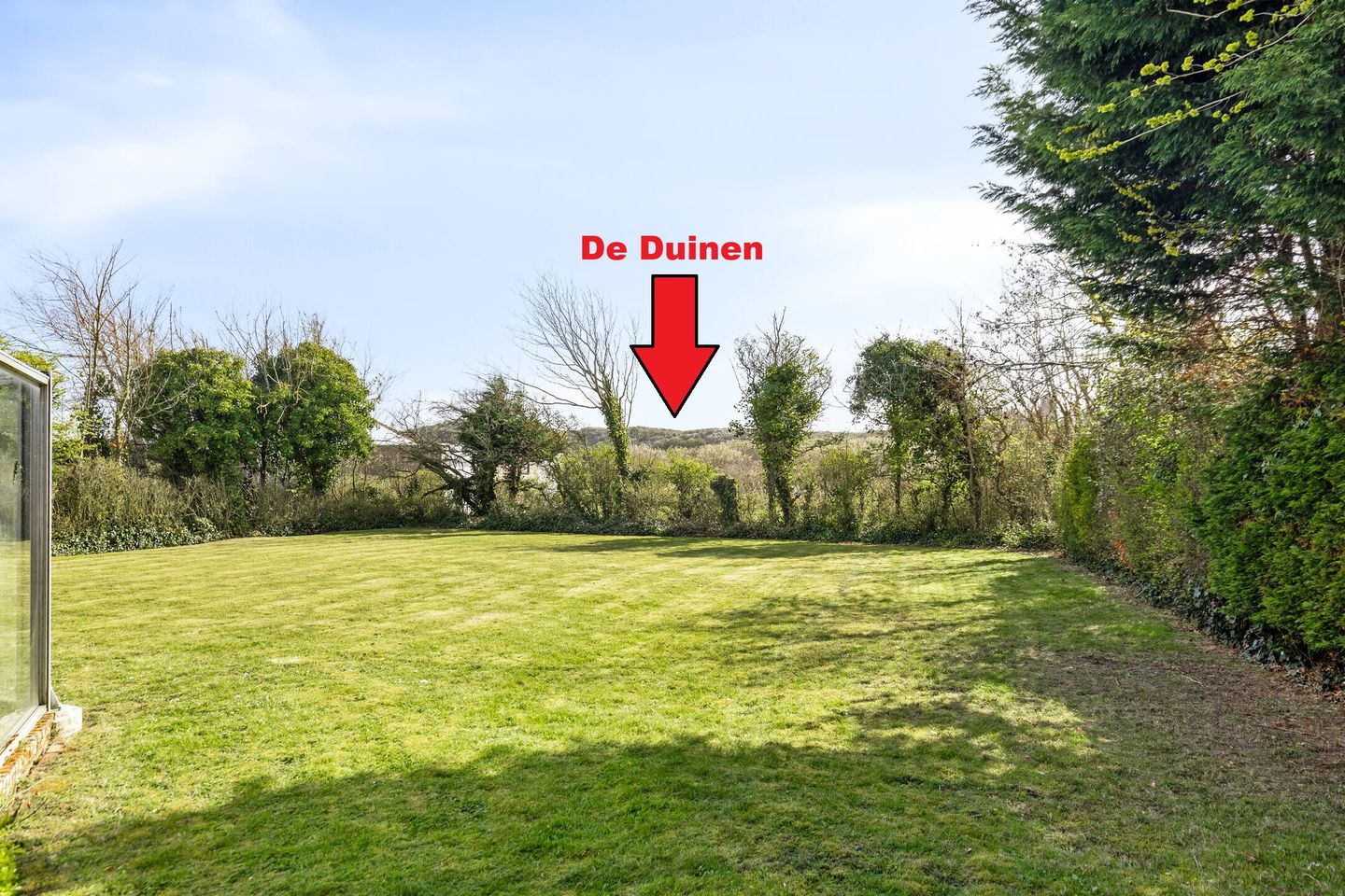 Photo 4 of Branding 13