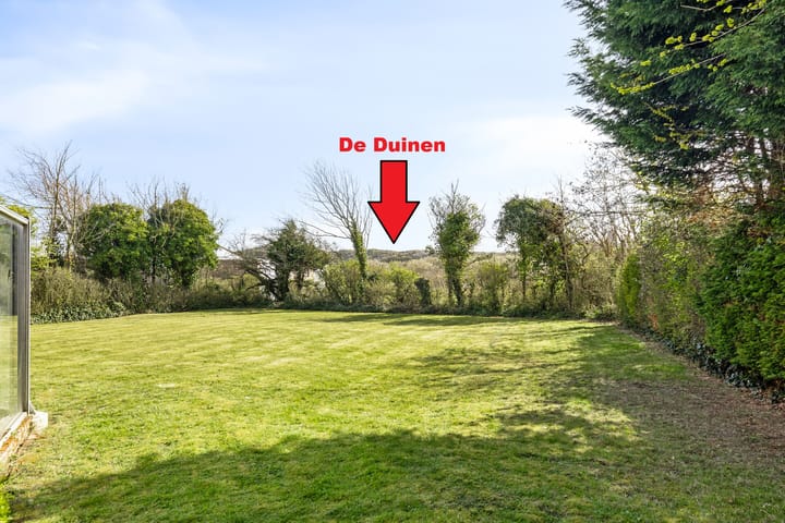 Photo 4 of Branding 13