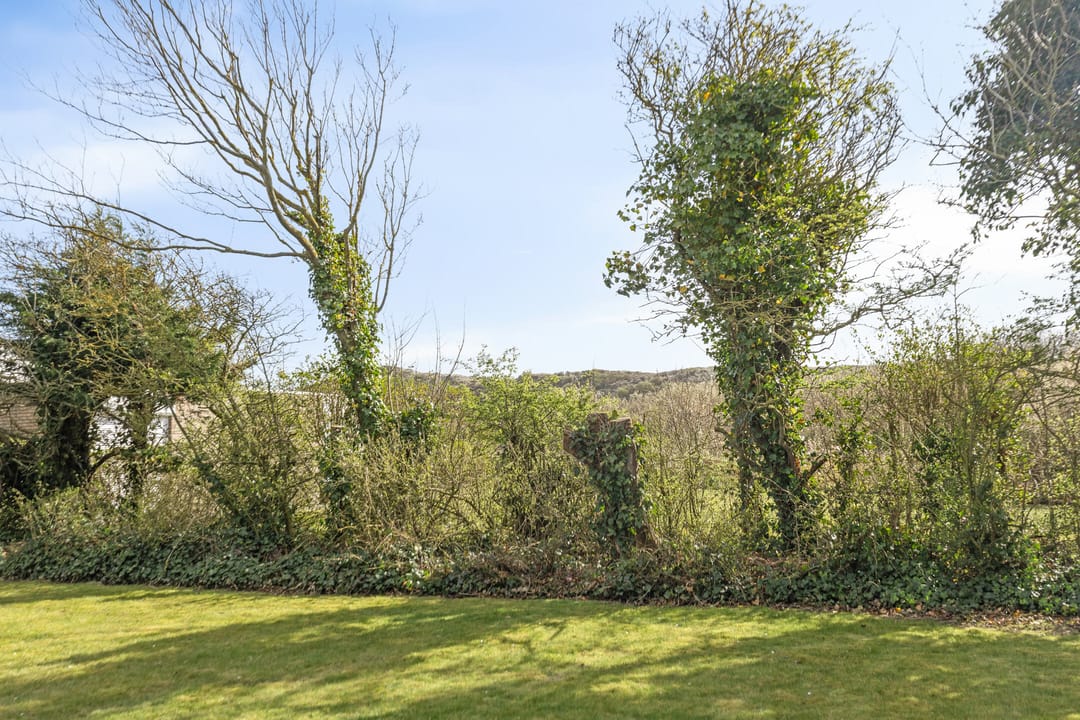 Photo 31 of Branding 13