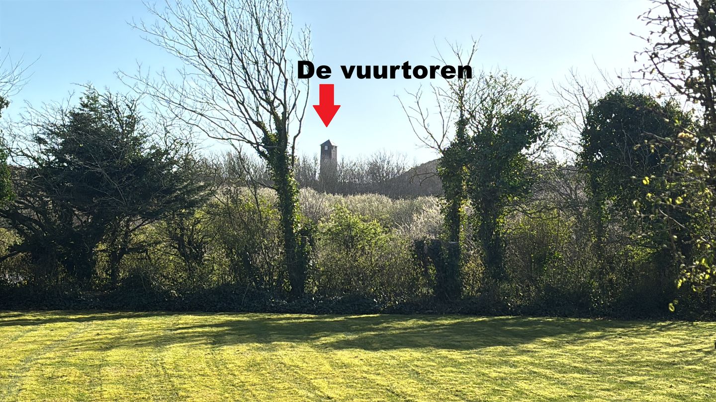 Photo 34 of Branding 13